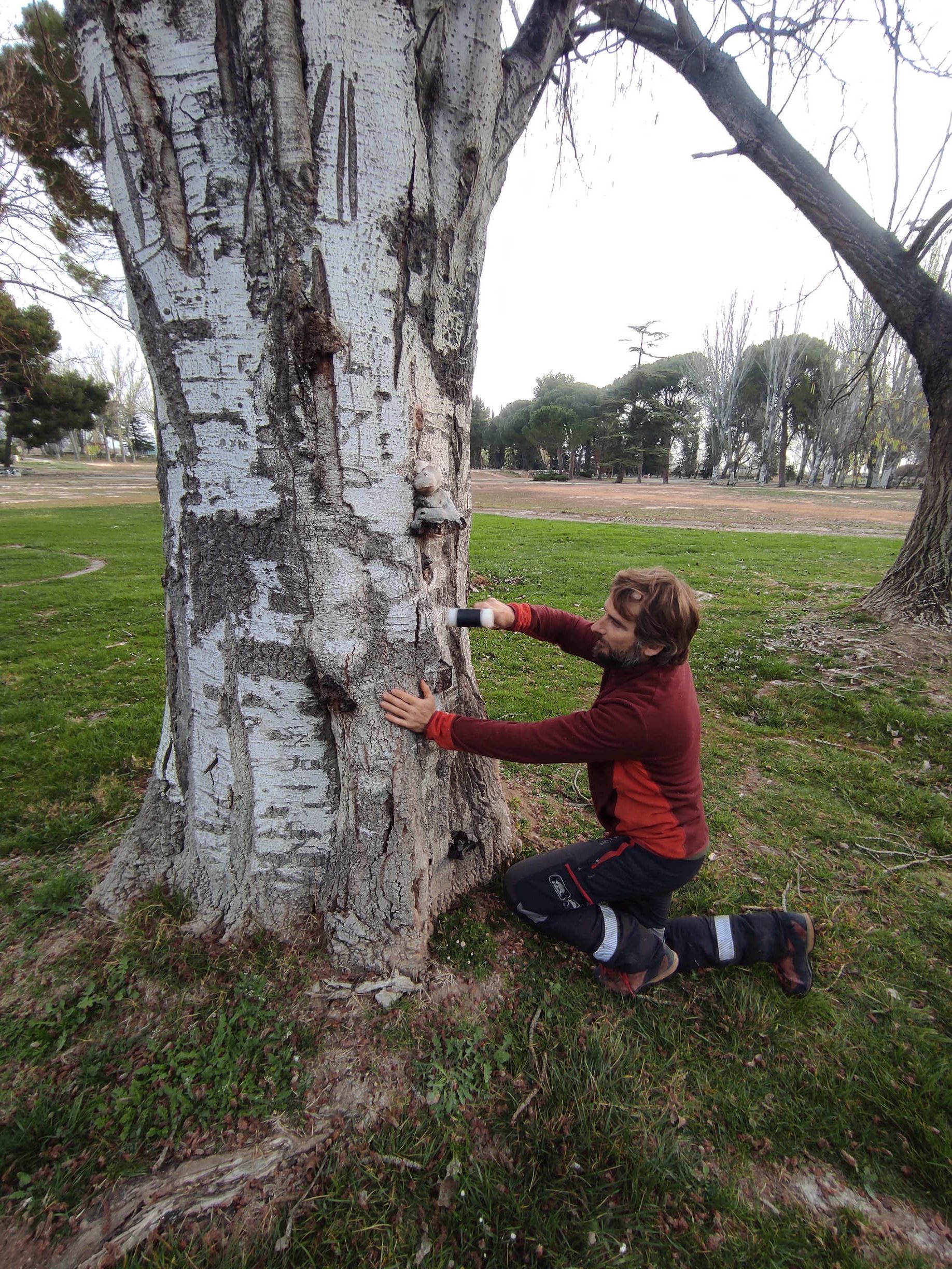 Tot Arbres hombre junto a arbol
